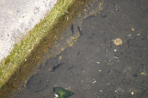 Click for next image...