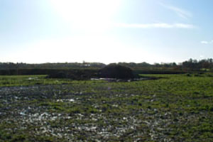 Click for previous image...