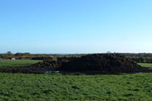 Click for next image...