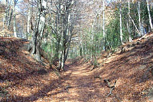 Click for next image...