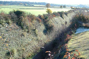 Click for previous image...