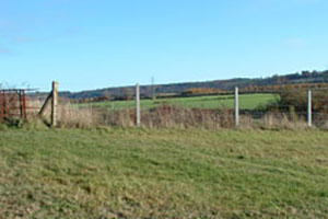 Click for previous image...