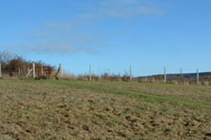 Click for next image...